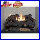 Large_Vent_30in_Free_LP_Propane_Gas_Fireplace_Logs_w_Remote_Fire_Glass_Log_Grate_01_ix