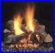 Majestic_Duzy_2_Vented_Gas_Logs_Remote_Ready_24_Natural_Gas_01_ac