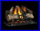 NEW_Napoleon_GL32N_NG_32_Gas_Log_Set_wood_burning_fireplace_conversion_kit_01_igz