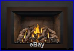 NEW Napoleon Oakville GDIX4 Large Gas Fireplace Insert with Logs Remote and Blower