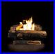 Natural_Gas_Fireplace_Insert_Fake_Faux_Logs_Ventless_Thermostat_24_inch_Heater_01_jz