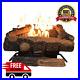 Oakwood_Vent_Free_Propane_Gas_Fireplace_Logs_24_in_Thermostatic_Control_Heating_01_bye