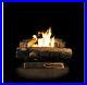 Oakwood_Vent_Free_Propane_Gas_Fireplace_Logs_24_in_Thermostatic_Control_Heating_01_vr