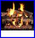 Peterson_Gas_Log_Burner_G4_24_and_Fireplace_Logs_LP_Propane_01_xe