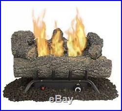 Pleasant Hearth 18 30,000-BTU Dual-Burner Vent-free Gas Log Fireplace (read)