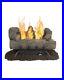 Pleasant_Hearth_18_in_30000_BTU_Dual_Vent_Free_Gas_Fireplace_Logs_with_Thermostat_01_ts
