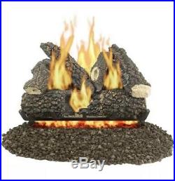 Pleasant Hearth 24 in 55000 BTU Dual Burner Vented Gas Fireplace Logs Concrete