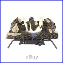Pleasant Hearth 24 in. Vent-Free Dual Fuel Gas Fireplace Logs