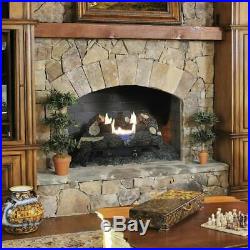 Pleasant Hearth 24 in. Vent-Free Dual Fuel Gas Fireplace Logs