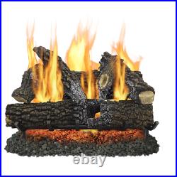 Pleasant Hearth 30-in 65000-BTU Dual-Burner Vented Gas Fireplace Logs # VLNO30D