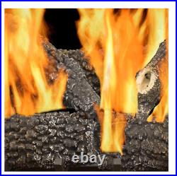 Pleasant Hearth 30-in 65000-BTU Dual-Burner Vented Gas Fireplace Logs # VLNO30D