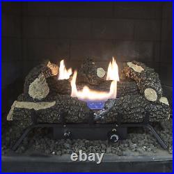 Pleasant Hearth VFL2-WW24DT 24 Inch Dual Fuel Wildwood Vent Brown and Charred