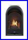 ProCom_Dual_Fuel_Ventless_Gas_Fireplace_Insert_with_Thermostat_Control_4_Fir_01_agts