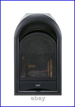 ProCom Dual Fuel Ventless Gas Fireplace Insert with Thermostat Control, 4 Fir