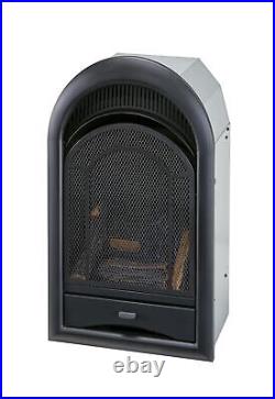 ProCom Dual Fuel Ventless Gas Fireplace Insert with Thermostat Control, 4 Fir