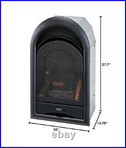 ProCom Dual Fuel Ventless Gas Fireplace Insert with Thermostat Control, 4 Fir