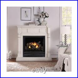 ProCom PCNSDS24RT Dual Fuel Ventless Fireplace Logs Set with Remote Control