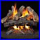 ProCom_Vented_Natural_Gas_Fireplace_Log_Set_18_in_35_000_BTU_Model_WAN18N_2_01_qbzh