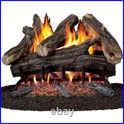 ProCom Vented Natural Gas Fireplace Log Set 24 55,000 BTU Hand-Painted Concrete