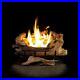 Propane_Gas_Fireplace_Logs_American_Elm_24_Inch_Vent_Free_Electronic_Ignition_01_qc