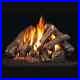 RH_Peterson_Real_Fyre_Gas_Logs_Western_Campfyre_24_Natural_Gas_withG4_Burner_01_ejnp