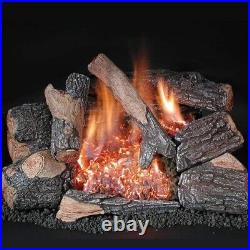 Rasmussen HR24 Natural Gas 24 Chillbuster Oak Log Set with C8 Double Burner