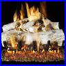 Real_Fyre_24_Mountain_Birch_Log_Set_With_Vented_G45_Burner_01_yh