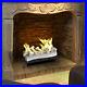 Regal_Flame_24_Ethanol_Fireplace_Log_Set_With_Burner_Insert_From_Gas_Logs_Birch_01_yupx
