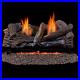 Split_Red_Oak_24_In_Vent_Free_Gas_Fireplace_Logs_with_Manual_Control_01_tbc