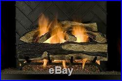 Sure Heat SH24DBRNL-60 Vented Gas Fireplace Logs, 24, Charred Hickory