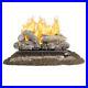 Valley_Oak_24_in_Vent_Free_Dual_Fuel_Gas_Fireplace_Logs_with_Remote_01_jdki