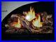 Vent_Free_Dual_Fuel_Fireplace_Logs_Insert_24_inch_Natural_Gas_or_Propane_01_qss